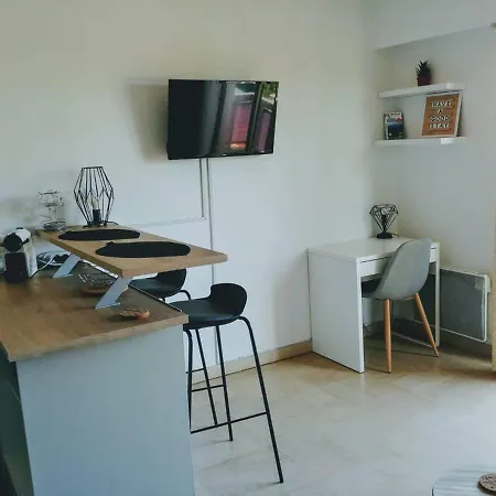 Apartman Charmant Studio Refait A Neuf Au Centre-ville